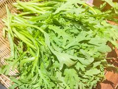 茼蒿-楠火锅(龙阳广场店)