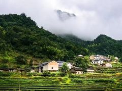-祁门牯牛降观音堂风景区