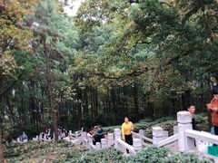 -灵岩山风景区