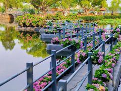 -无锡蠡湖国家湿地公园-蠡园