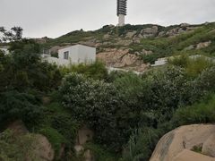 -洋山深水港