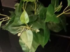 -德全心悦酒店(北京金台路地铁站店)