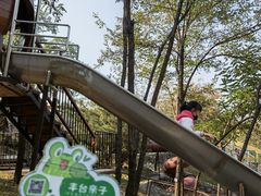 -欢乐松鼠谷
