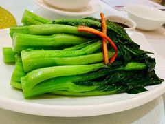 白灼有机菜心-老广新意(奥园店)