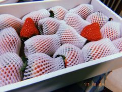 -泓历皇朝酒店(东亭店)