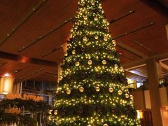 -山港凯悦酒店·BEBA海滩烧烤餐厅酒吧