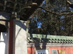 -北京国子监胡同