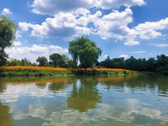 -西溪国家湿地公园