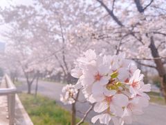 -南京明基医院