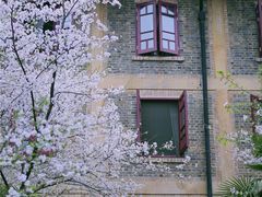 -武汉大学-樱园