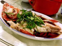 清蒸东星斑-凯悦大酒楼