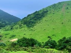 -大姆山草场