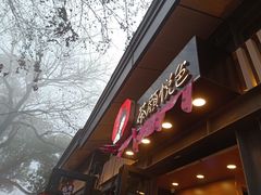 门面-茶颜悦色(岳麓山顶店)