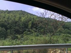 android_upload_pic-宁波浙东大竹海景区