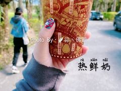 -瑞穗牧场