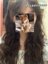 -ASG Hair Salon烫染·接发