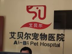 -艾贝尔宠物医院 ·内科全科(梁溪路店)
