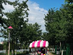 -长白岛森林公园