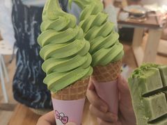 -王守财小山園
