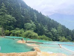 -黄龙山原始森林景区