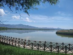 -野鸭湖国家湿地公园