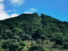 -梧桐山风景名胜区