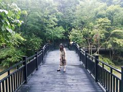 -江西阳明山国家森林公园