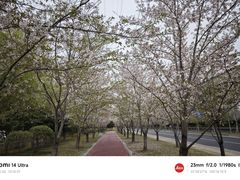 -长广溪湿地公园