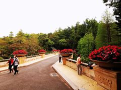 -云溪植物园
