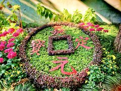 -汇龙潭