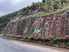 -千岛湖石林