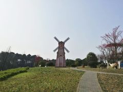 -铁山坪森林公园