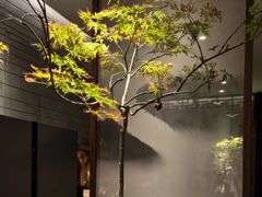 -王府茶楼茶宴·创意菜(朝阳公园店)