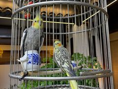 -蘭奢雅集·江浙菜(青山江滩店)