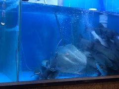 -淘米捞·米汤脆鲩鱼火锅(福田皇岗店)