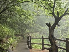 -塔云山