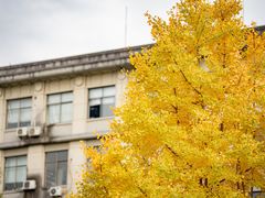 -四川大学(望江校区)