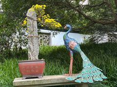 -杭州植物园