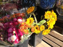 -循礼门鲜花花市(武汉循礼门店)