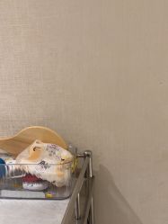 -广东韩妃整形外科医院