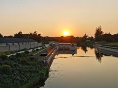 -西京湾花海