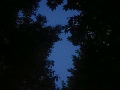 -金陵中学(河西分校)