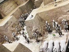 -秦始皇帝陵博物院(兵马俑)