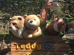 -济州岛泰迪熊博物馆