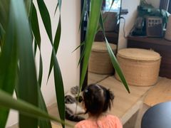 -seeu coffee(江滩店)