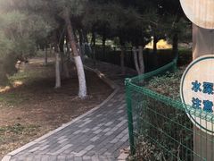 -长白岛森林公园