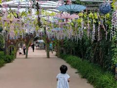 -北京呀路古热带植物园