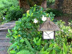 -杭州开元森泊度假乐园