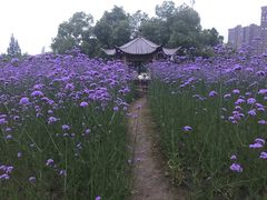 -杭州城北体育公园