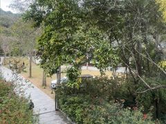-野象谷景区